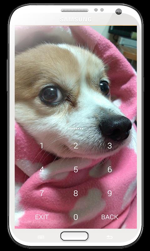 加密日记本  v1.17图5