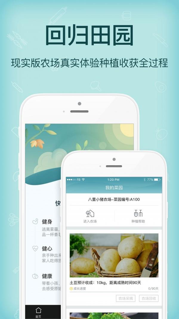 小猪农场