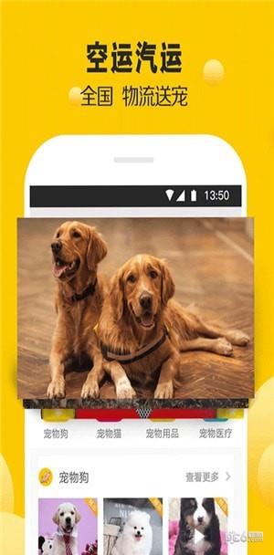宠狐  v4.5.4图2