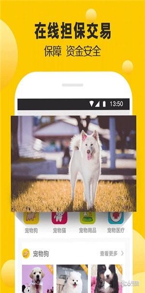 宠狐  v4.5.4图1