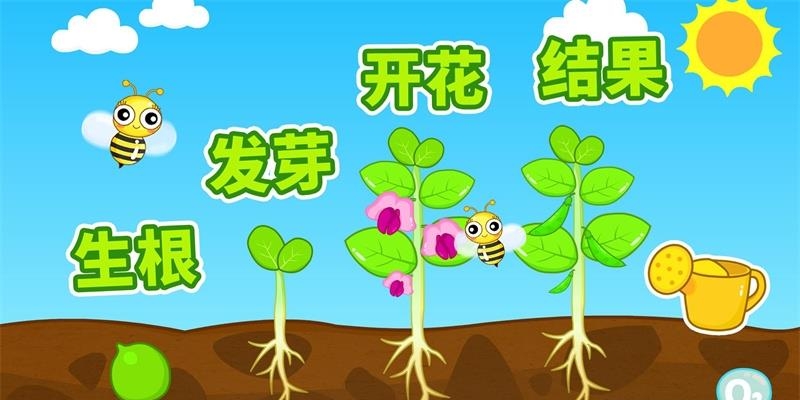 宝宝爱自然