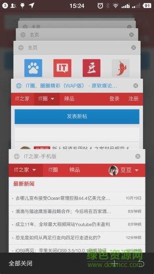 旗鱼浏览器精简版  v2.11图3