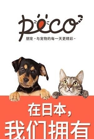 朋宠peco