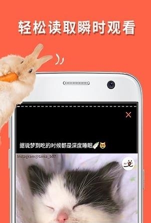 朋宠peco  v1.0.1图2