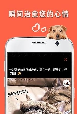 朋宠peco  v1.0.1图4