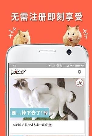 朋宠peco  v1.0.1图3