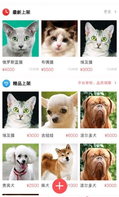 宠物优选  v1.9.3图3