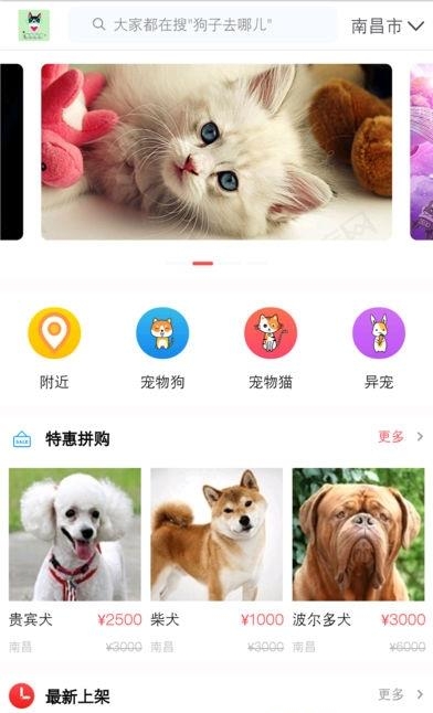 宠物优选  v1.9.3图2
