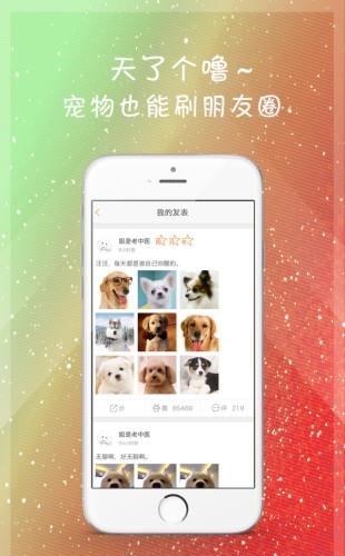 宠爱我  v1.0图2