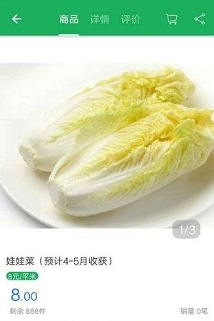 都市乐之圃