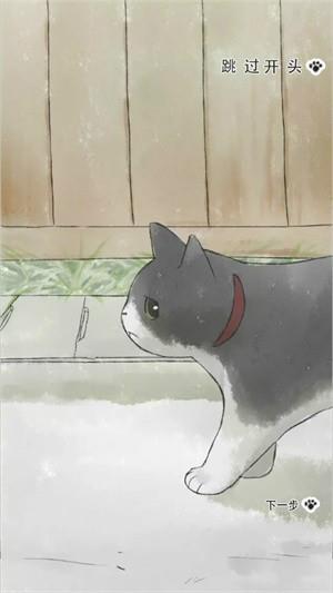 迷途猫  v1.1图3