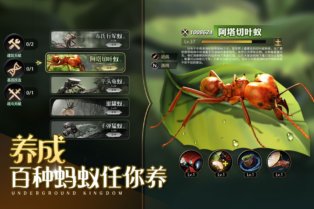 小小蚁国华为版  v1.36.0图3