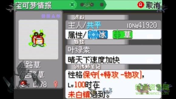 口袋妖怪日月宝石八木特别篇
