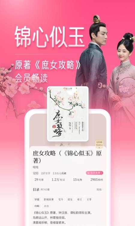 红袖读书