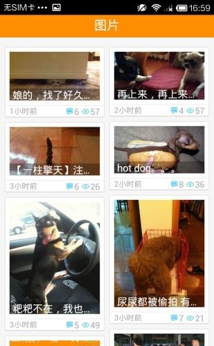 长沙狗狗论坛  v1.0.30图2