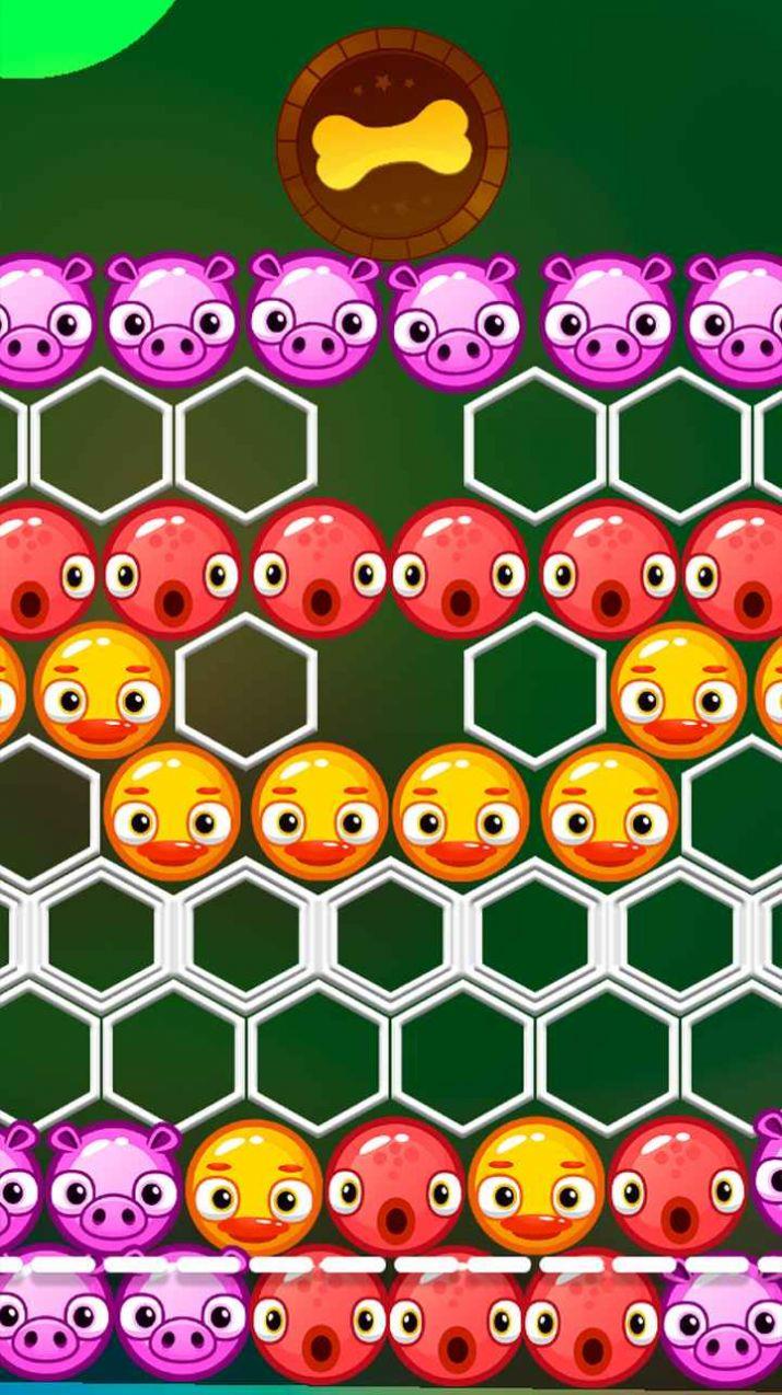 小狗爱骨头  v1.0图1