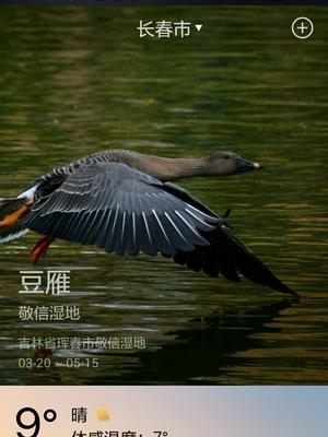 物语天气  v1.2图5