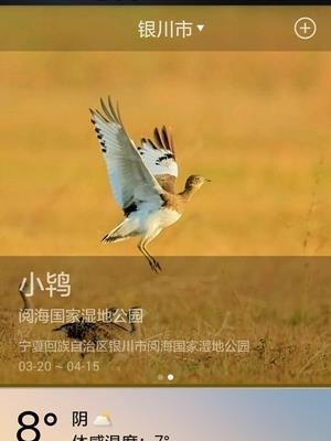 物语天气