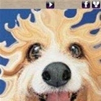 照片变形器  v1.1.6图3
