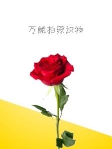 万能拍照识物  v3.4.13图1