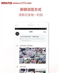 乐鱼相册