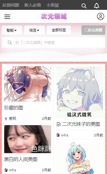 次元领域官网版