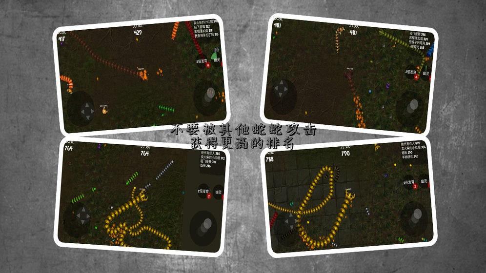 蛇蛇进化作战  v1.0图4
