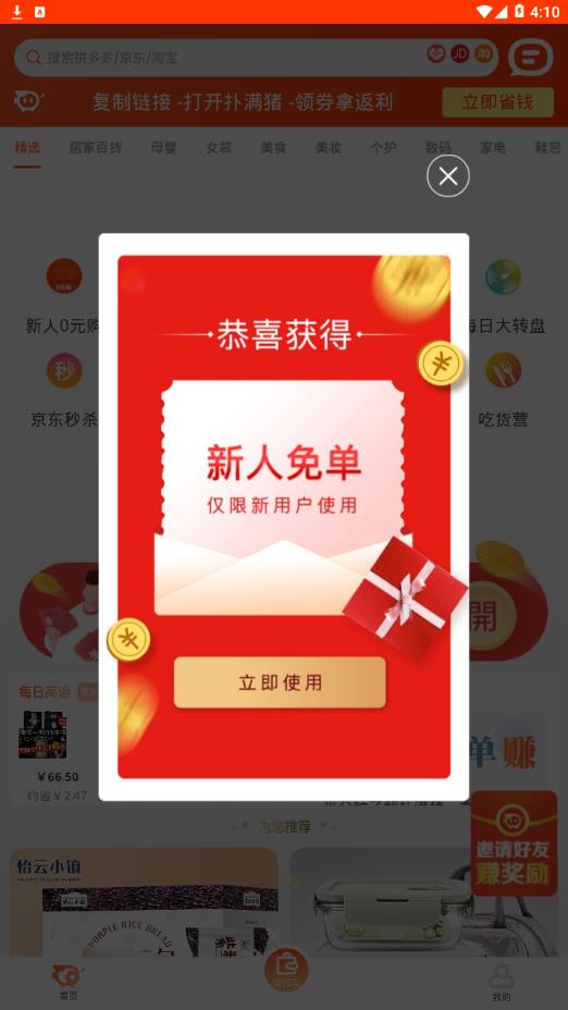 扑满猪