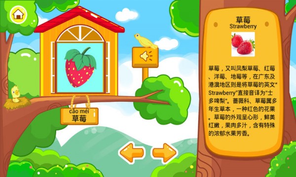 儿童宝宝认水果  v35.12图4
