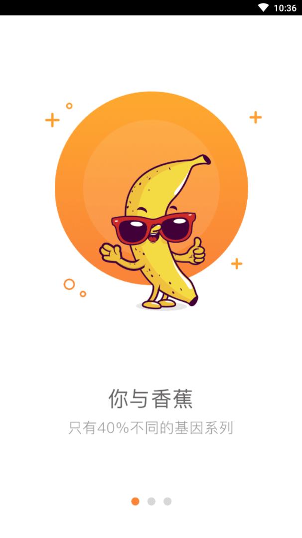 掌上云杉