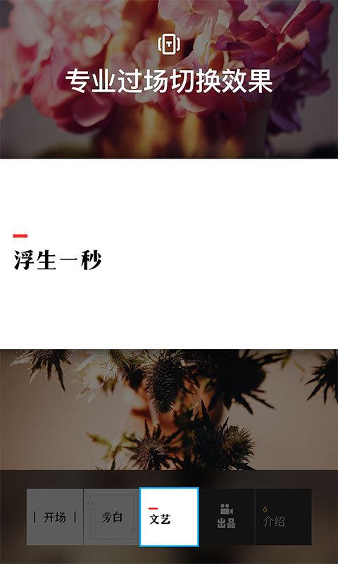 猫饼短视频