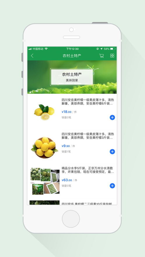 菜篮子