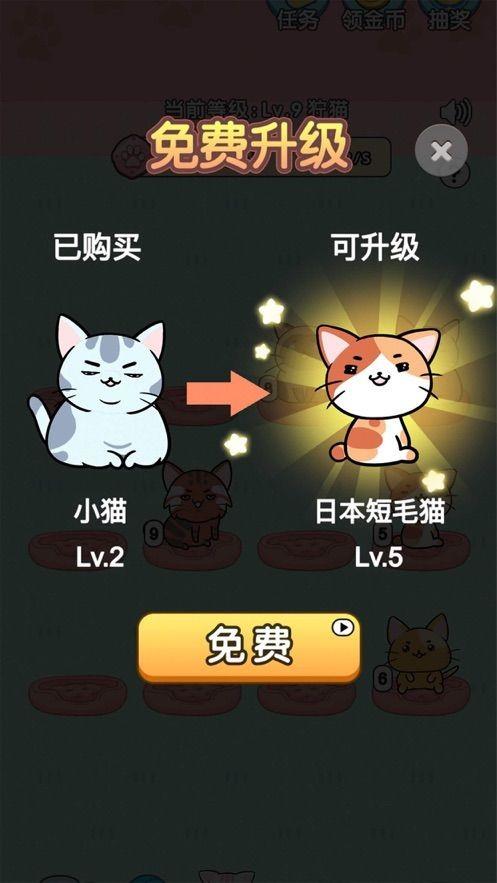 一起来撸猫红包版  v1.1.0.0图2