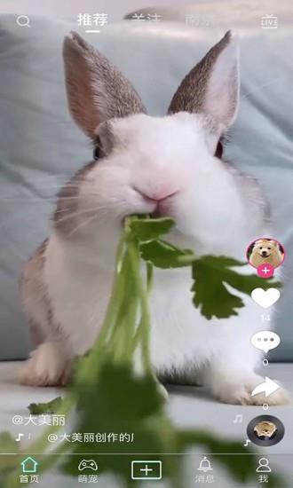 抖宠最新版  v1.28图4