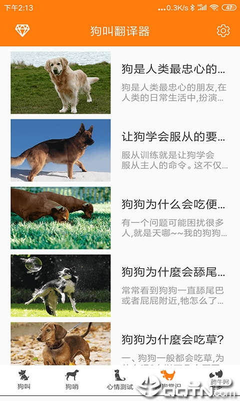 狗叫翻译器  v5.0图4