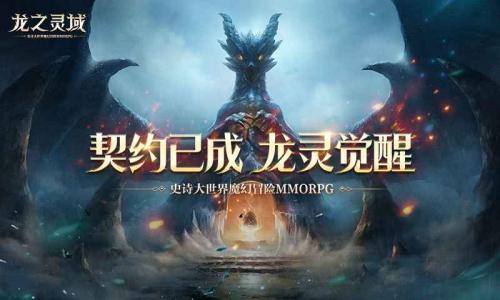 龙之灵域  v0.2.0图3