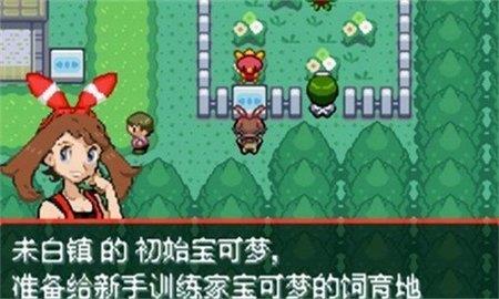 口袋妖怪究极绿宝石5.3  v5.3图3