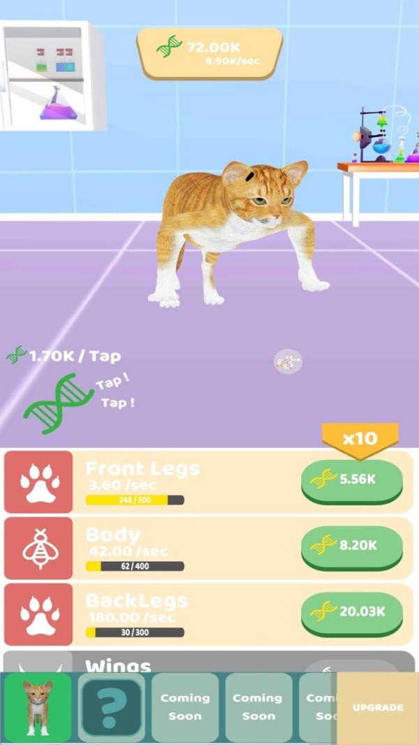 动物进化实验  v1图1