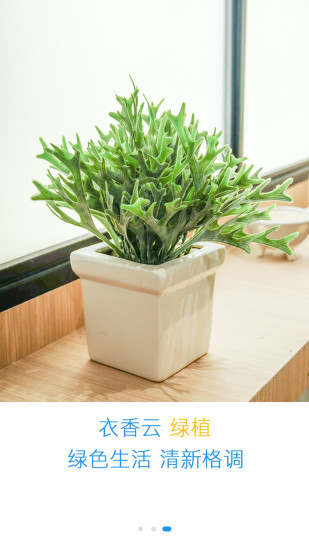 衣香云  v3.0.3图4