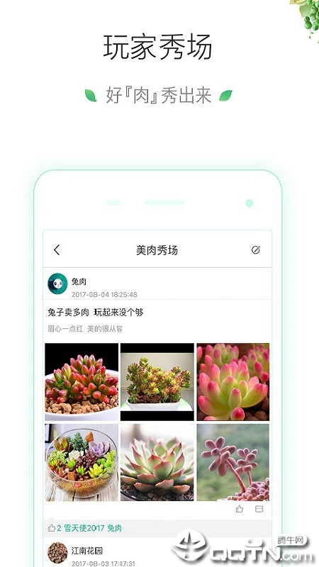 吾花肉