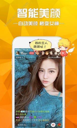 黑猫宝盒  v图4