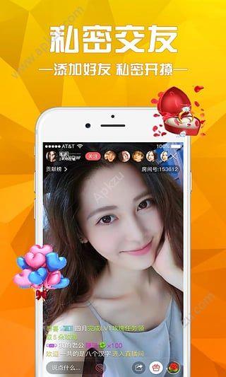 黑猫宝盒  v图3
