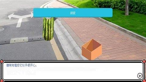 西瓜人派对