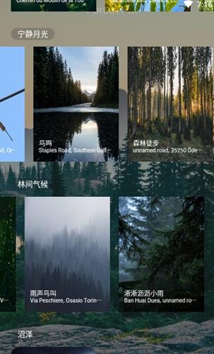 森林白噪音  v1.0.0图1