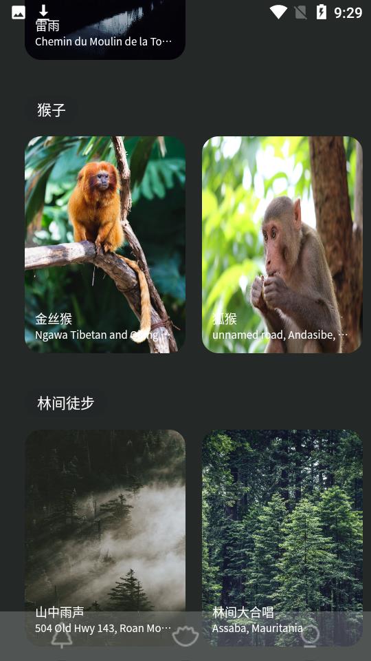 森林白噪音  v1.0.0图3