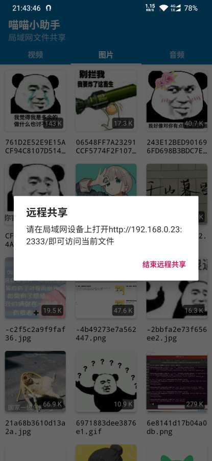 喵喵小助手