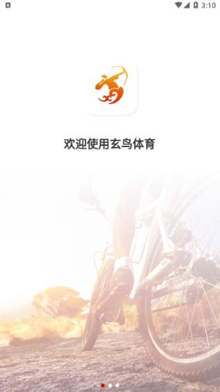 玄鸟体育