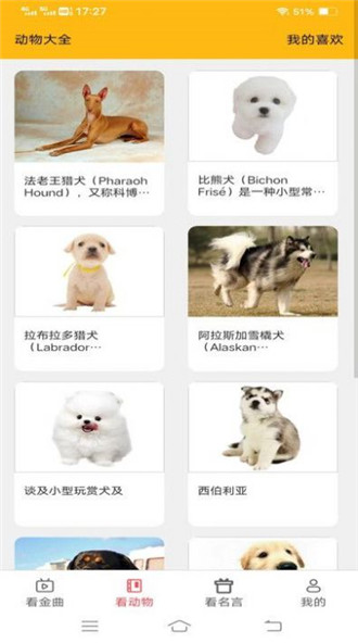 金牌聚看短剧  v1.6.8图2