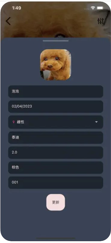 爱宠小派  v1.1图1