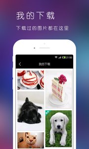 美图园  v1.0.2图2